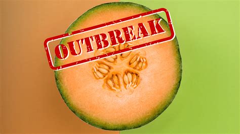 Cantaloupe Salmonella Outbreak Sickens Over 200 Across Dozens of States ...