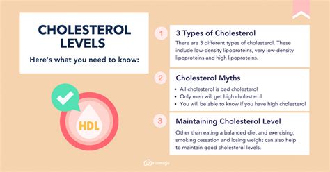 Cholesterol Levels: By Age, Gender, LDL, HDL & More - Homage Malaysia