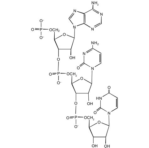 19.2 Nucleic Acid Structure | The Basics of General, Organic, and ...