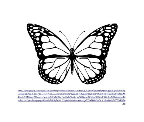 50 Printable & Cut Out Butterfly Templates 🦋 ᐅ TemplateLab