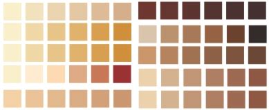 Download Palet Warna Kulit | Menggambar Vektor