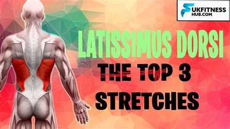 Latissimus dorsi stretch gluteus medius stretch - questps