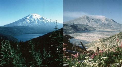 After Mount St. Helens erupted, 1980 became a lost spring for some | UW ...