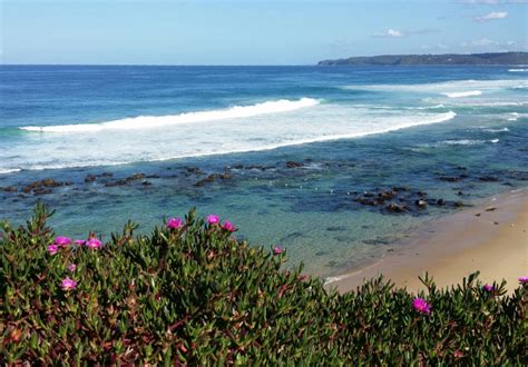 Newcastle’s Best Beaches (and Where to Get a Coffee After)