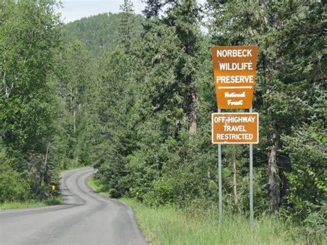 Scenic Drive at Needles Highway, South Dakota Stock Photo - Image of ...