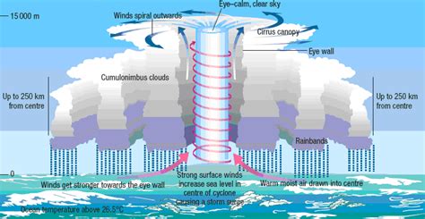 Tropical cyclone formation | Types of rainfall, Types of precipitation ...