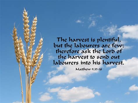 Matthew 9.37-38 Poster - The harvest is plentiful, but the labourers ...