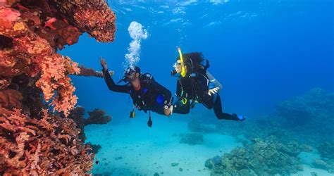 Deep Dive Specialty in Neil Island, Deep Dive Scuba Diving in Neil ...