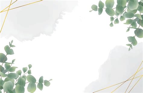 Premium Vector | Watercolor eucalyptus leaf background