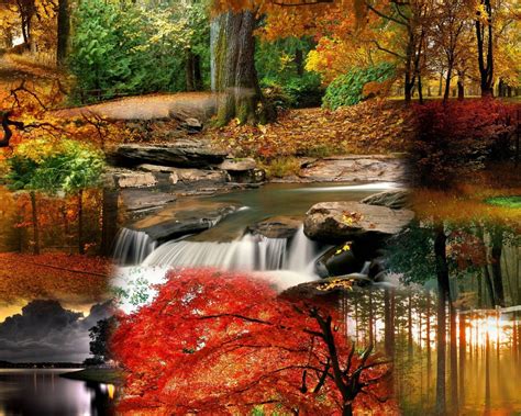 Fall Free Desktop Wallpapers - Wallpaper Cave