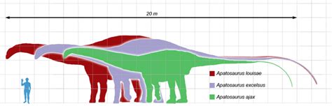 Old Earth Ministries Online Dinosaur Curriculum