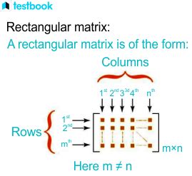 Rectangular Matrix: Definition, Properties with Solved Examples