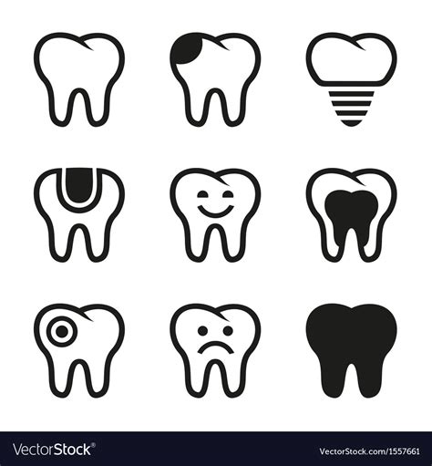 Tooth icons set Royalty Free Vector Image - VectorStock