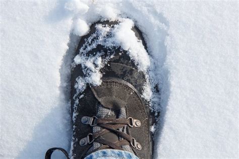 Hiking boot in snow stock photo. Image of footwear, hiking - 112071620