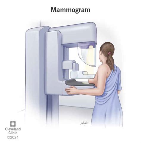 Mammogram: What It Is, Purpose, Procedure, Results & Types