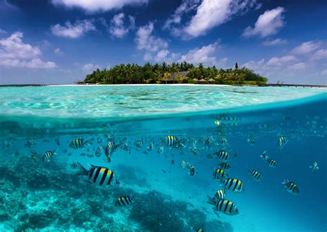 3 Reasons to Learn to Dive in the Maldives