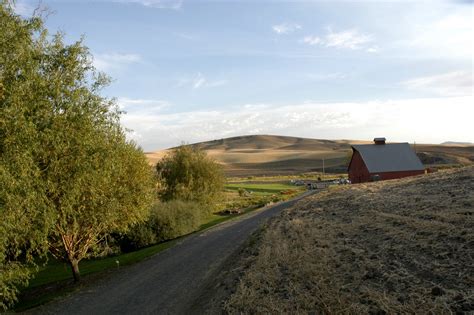 Eat What You Grow: Wandering Through Moscow, Idaho