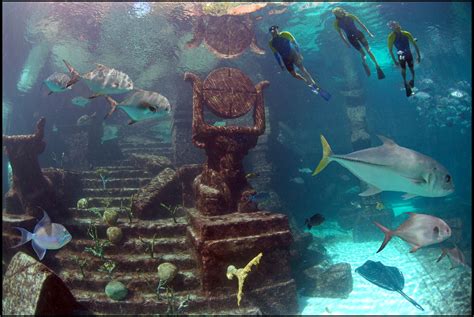 Dive or snorkel the ruins lagoon at Atlantis. It's loaded with cool ...