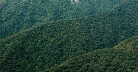 Sierra Madre, the Philippines’ longest mountain range - FlipScience ...