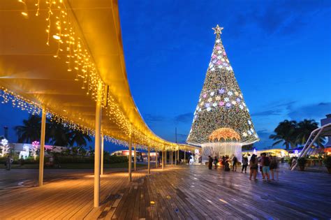 Best 20 Christmas trees around the World