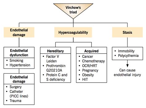 Etiology of venous thromboembolism – Virchow’s triad – McMaster ...