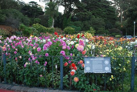 Golden Gate Park Botanical Garden