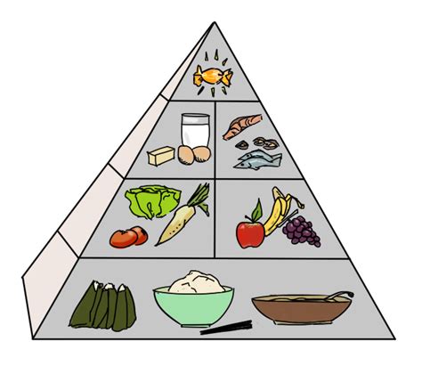 Label clipart food pyramid, Label food pyramid Transparent FREE for ...