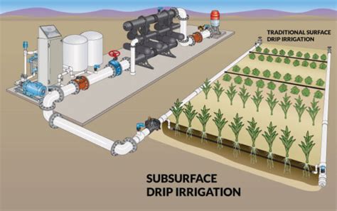 Increase Yield Performance with Subsurface Drip Irrigation - Southern ...