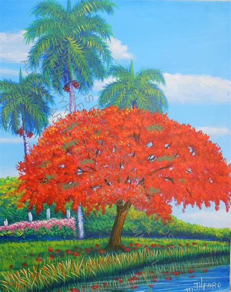 Flamboyan. Royal Poinciana Tree Painting