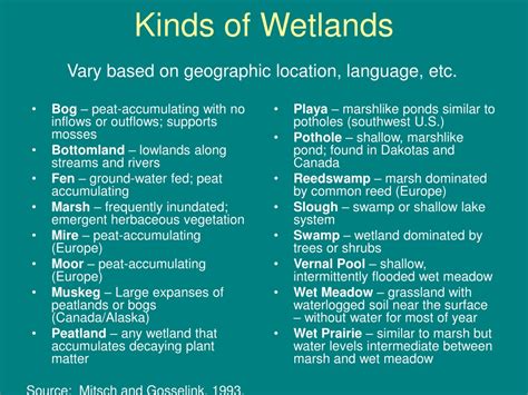 PPT - Wetland Types – Inland Wetland Ecosystems PowerPoint Presentation ...