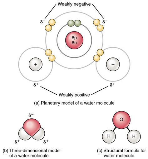 Diagram Of A Molecule