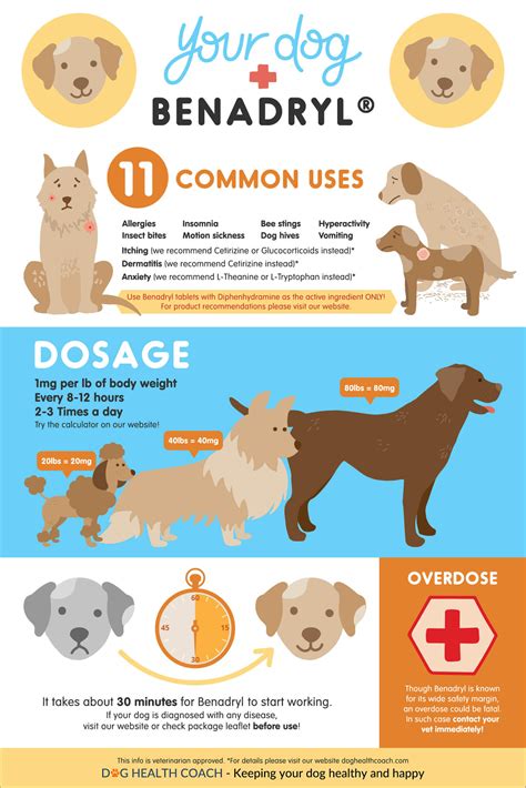 Is Benadryl Dangerous For Dogs