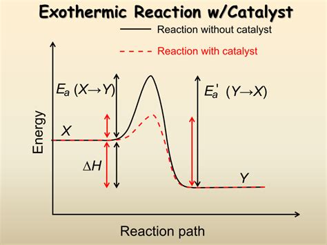 Endothermic Reaction w/Catalyst