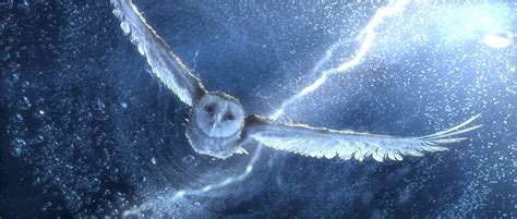 Legend of the Guardians: The Owls of Ga'Hoole 4k Ultra HD Wallpaper ...