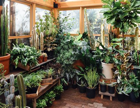 Best Indoor Plant Nursery Near Me – Artourney