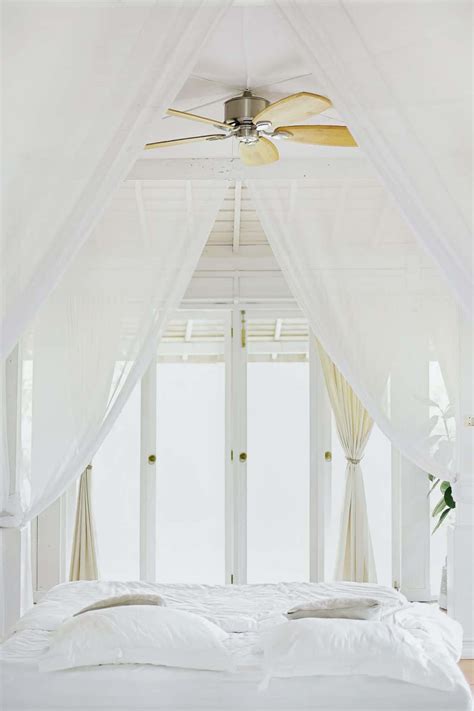 Plywood Ceiling Design Concepts: All You Need to Know