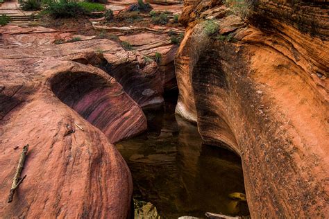 Zion Slot Canyons Photograph by Cole Pattschull - Fine Art America