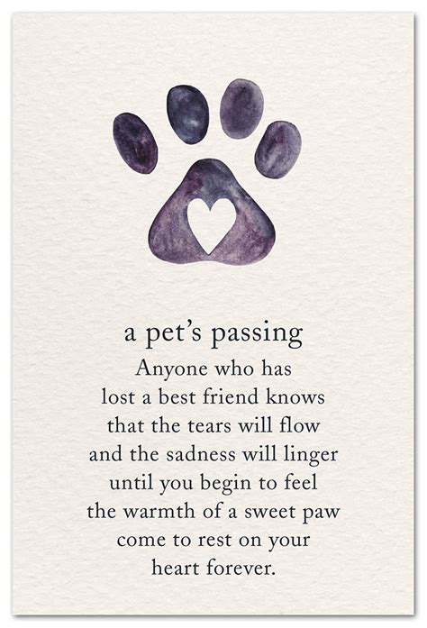 A Pet’s Passing Card | Pet Condolence Card | Cardthartic .com