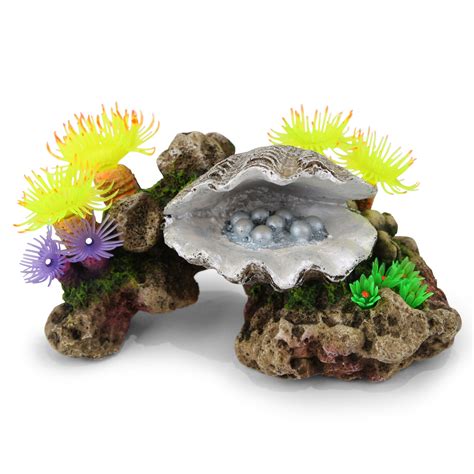 Pearl Clam With Soft Coral & Plants - Bespoke Aquariums