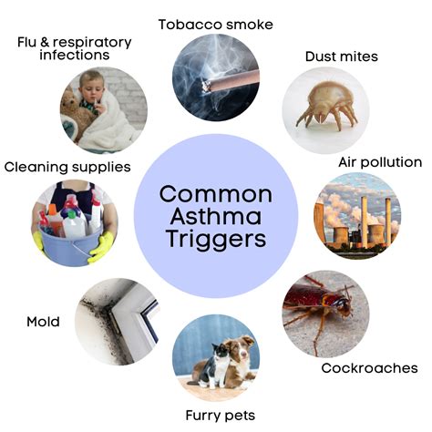 Asthma Triggers: Identifying And Avoiding Common Allergens - Ask The ...