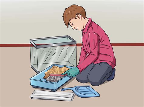 How to Clean Out a Hamster Cage: 12 Steps (with Pictures)