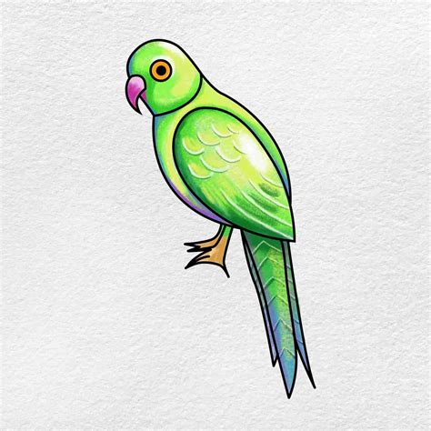 Discover more than 86 simple sketch of parrot super hot - seven.edu.vn