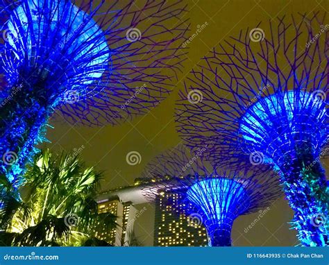 Super Trees at Night - Singapore`s Botanic Garden Stock Image - Image ...