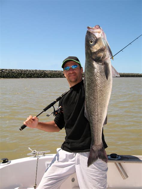 Top 6 Tips All Fishermen Should Know to Improve Their Fishing