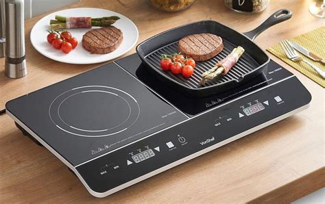 5 Best Portable Induction Cooktops Reviewed in 2020 | SKINGROOM