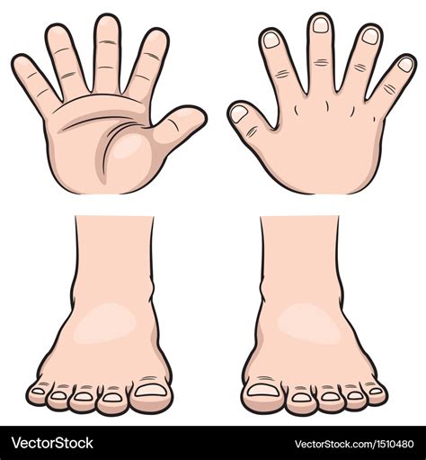 Hands and feet Royalty Free Vector Image - VectorStock