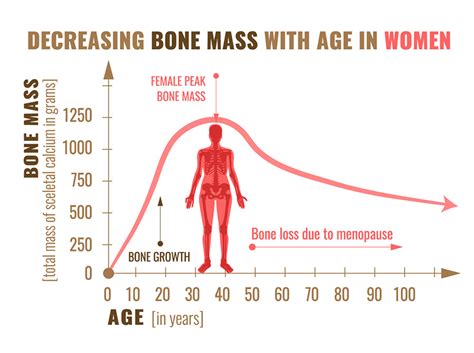 Bone Density - Green Imaging - Affordable MRIs, CT Scan, Mammogram