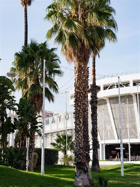 The Rugby World Cup guide to Toulon - Rugby Journal