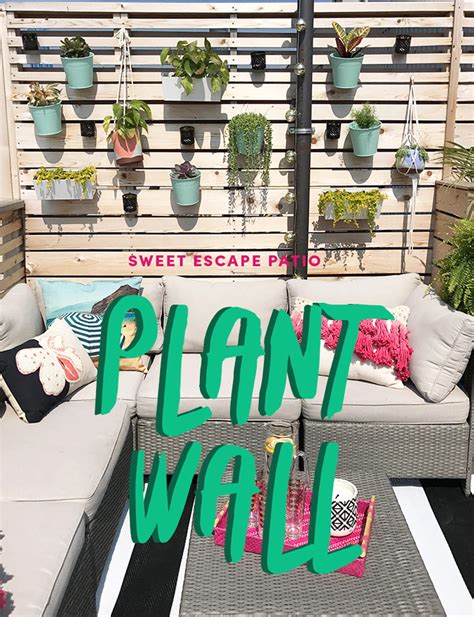 Project Sweet Escape Patio: DIY Plant Wall – The Sweet Escape Creative ...