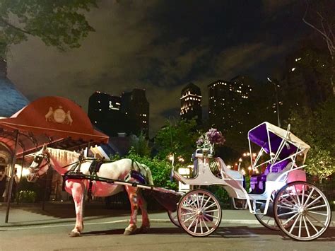 Central Park Carriage Rides | Horse Drawn Carriage NYC